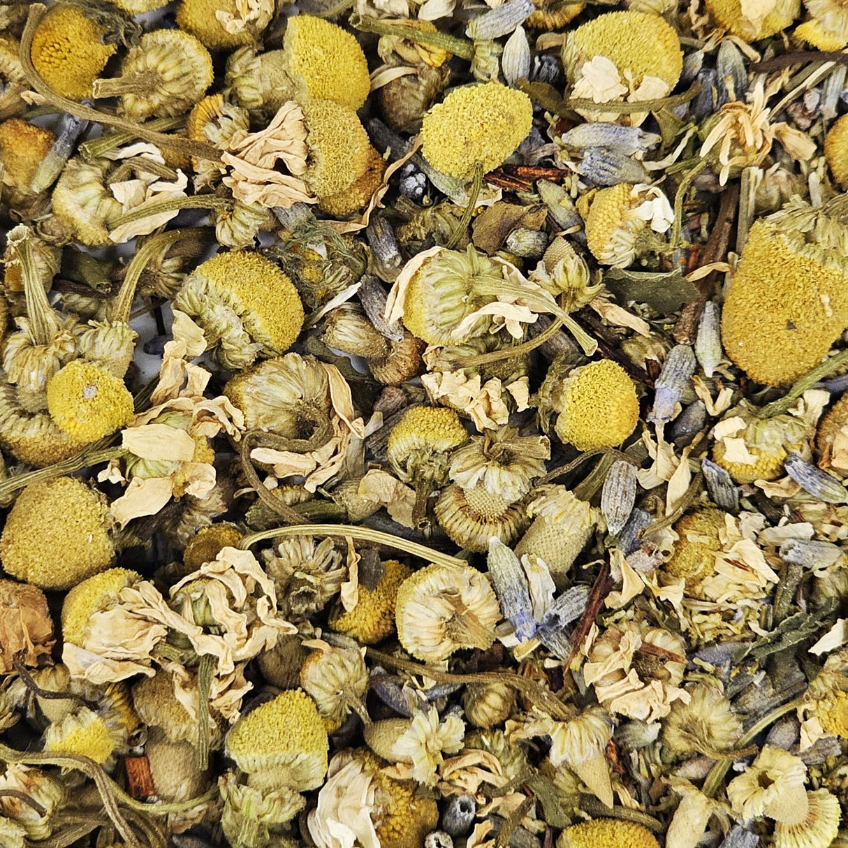 Chamomile Compassion
